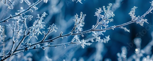 Branching lines that reflect the patterns of frost crystals on cold mornings photo