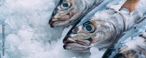 Close-up of fresh fish preserved on ice at the market