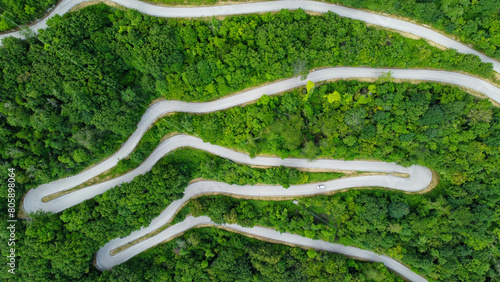 Quadro su tela mountain road amidst the greenery of uncontaminated nature