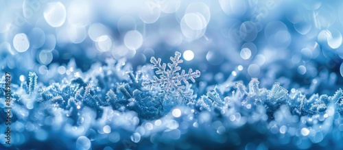 Macro photography of a snowflake on an electric blue background
