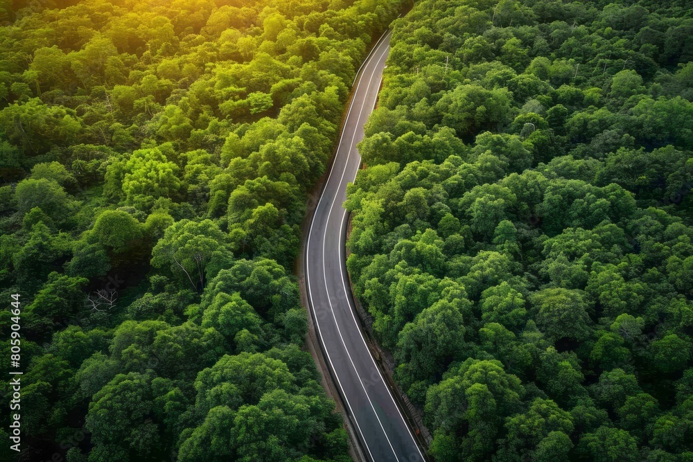 Top view of an asphalt road going through a green forest