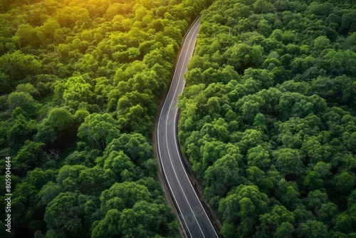 Top view of an asphalt road going through a green forest