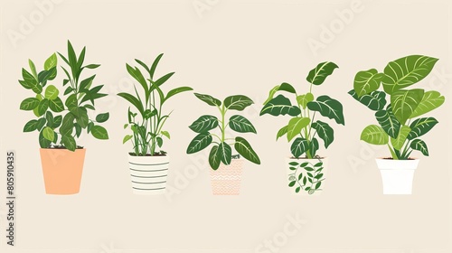 Sleepfriendly indoor plant guide in flat design, featuring plants that improve air quality in soft, natural tones