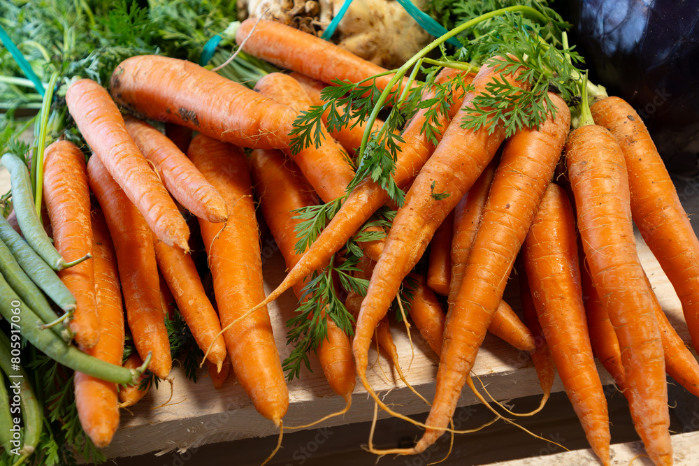 Bunch on fresh orange carrots with green on wooden box Bunch on fresh orange carrots with green on wooden box