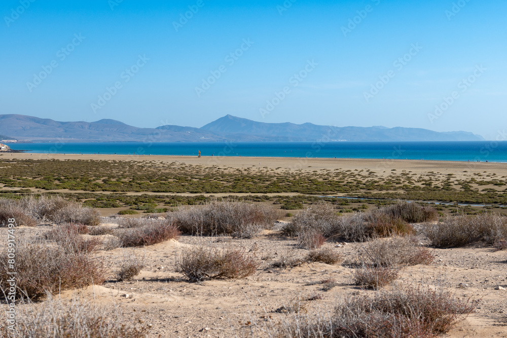 Sandy dunes and turquoise water of Sotavento beach, Costa Calma, Fuerteventura, Canary islands, Spain in winter