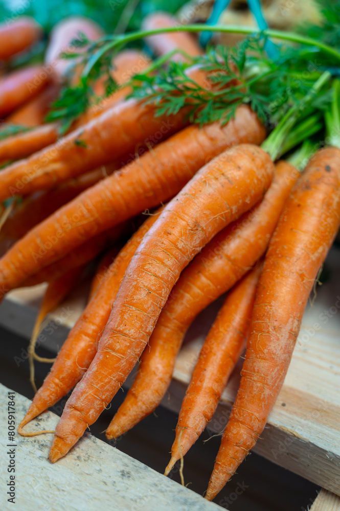 Bunch on fresh orange carrots with green on wooden box Bunch on fresh orange carrots with green on wooden box