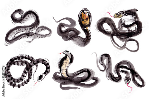 Watercolor painting of a snake in traditional Chinese ink style. © weeramix