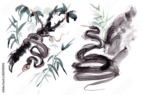 Watercolor painting of a snake in nature in the style of traditional Chinese ink. © weeramix