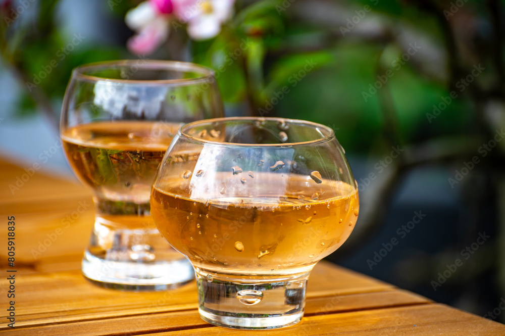 Brut apple cider from Betuwe, Gelderland, in glasses and blossom of apple tree in garden on background on sunny day, apple cider production in Netherlands Brut apple cider from Betuwe, Gelderland, in glasses and blossom of apple tree in garden on background on sunny day, apple cider production in Netherlands