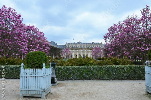 Tableau sur toile Paris, France 03.24.2017: Jardin du Palais Royal