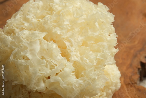 Close up,Dried snow fungus (Tremella fuciformis) on white background photo