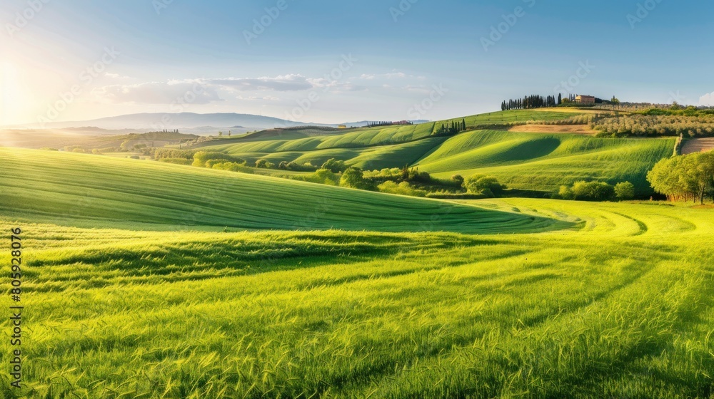 Beautiful long pastoral green field at sunny day scene. Generated AI image