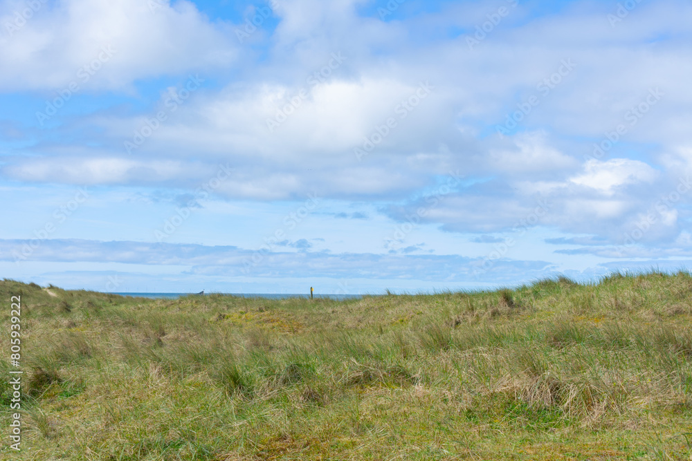 Gras bewachsene Dünen mit leicht bewölktem, blauen Himmel im Naturschutzgebiet von Noordholland im Molecaten Park Noordduinen Gras bewachsene Dünen mit leicht bewölktem, blauen Himmel im Naturschutzgebiet von Noordholland im Molecaten Park Noordduinen