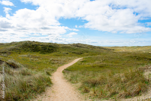 Trampelpfad durch die Dünen und Gräser bei sonnigem Wetter mit leicht bewölktem Himmel im Naturschutzgebiet von Noordholland im  Molecaten Park Noordduinen photo