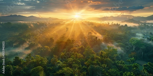 Dramatic Aerial Photograph of the Jungle at Sunrise. Beautiful Natural Background