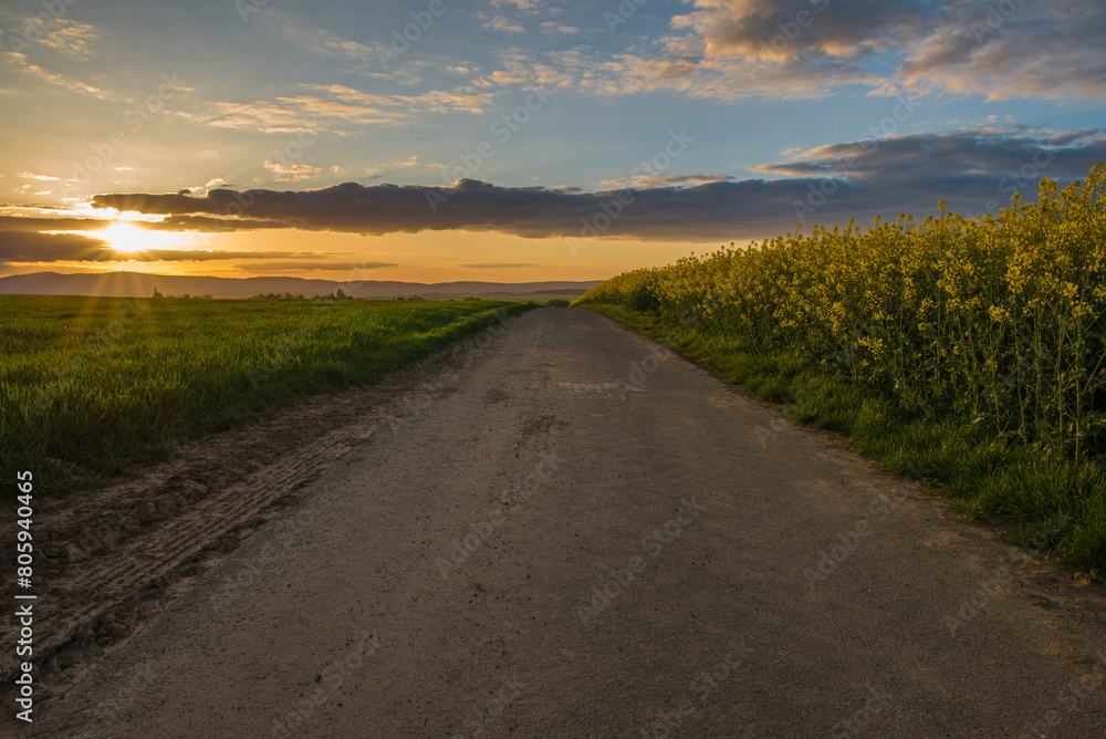 Abendspaziergang Abendspaziergang