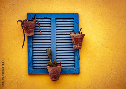 Blue wooden window frame with three potted cacti on a yellow wall.