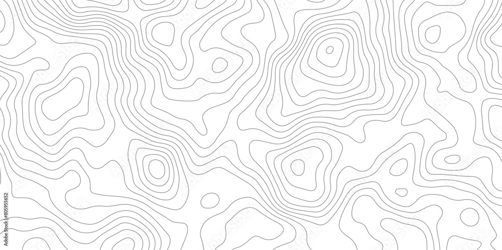 White topography simple vector lines contour wallpaper for print works