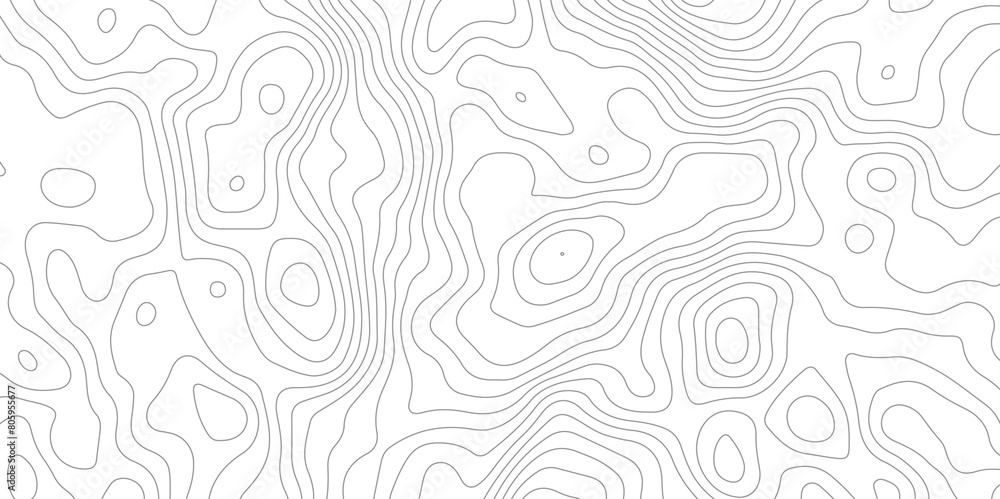 White topography simple vector lines contour wallpaper for print works