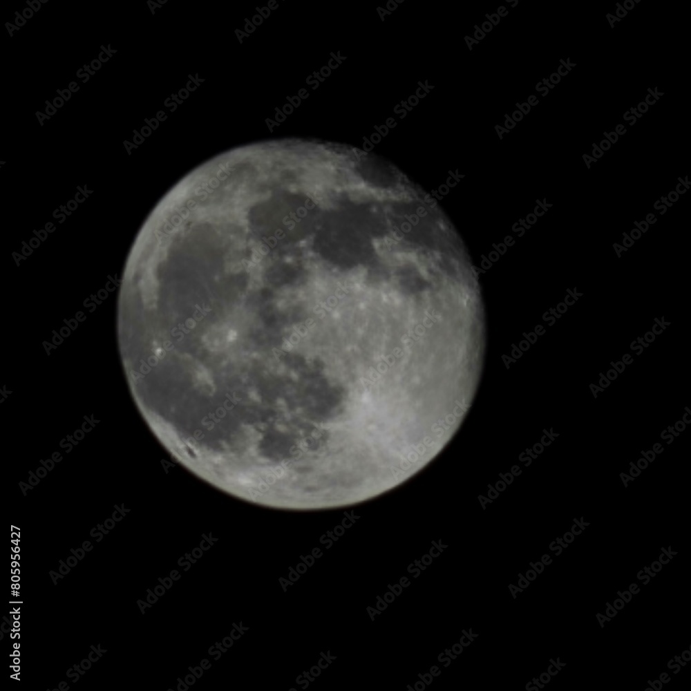 moon in the night moon in the night