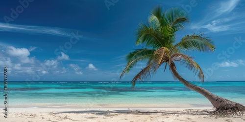 Palm Tree Beach. Tropical Paradise with Stunning Coral Background