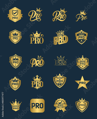 Golden Pro with crown  member  subscription
