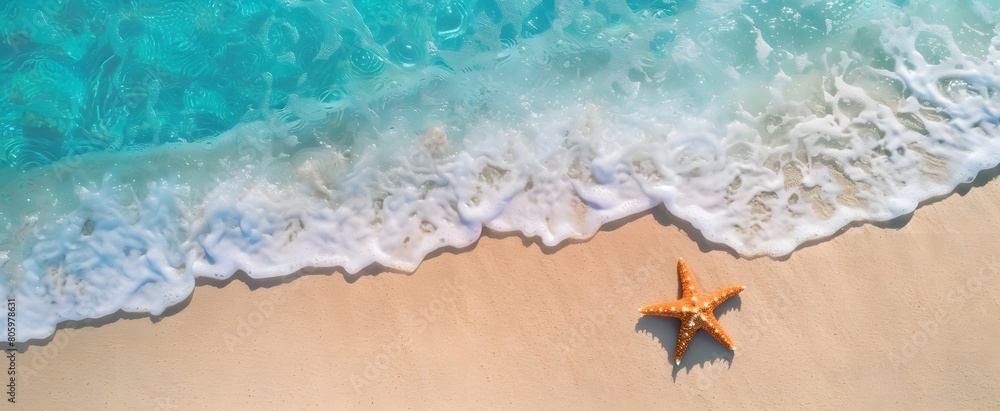 Naklejka premium A starfish rests on the sandy beach by the clear sea water. It's a sunny summer day, perfect for relaxing on the beach with plenty of space to enjoy.