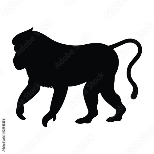 silhouette of a baboon animal