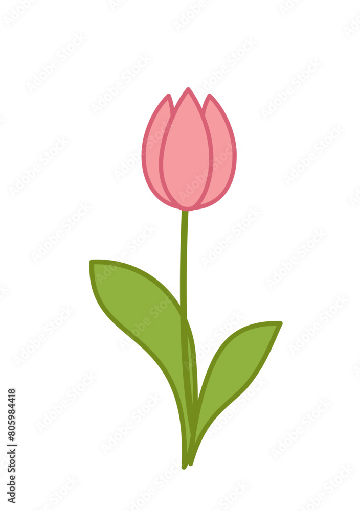 Pink tulip. Spring flower with leaves. Cartoon, vector