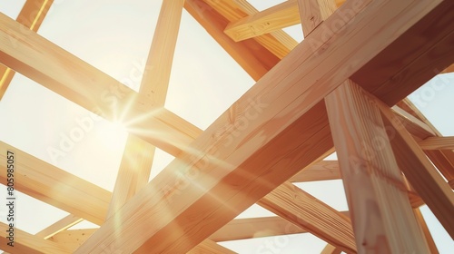 New development, wooden framing close-up, natural wood grain, bright sunlight 