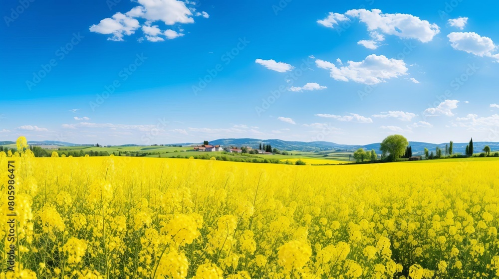 A beautiful landscape of a canola field in full bloom, with a village in the distance