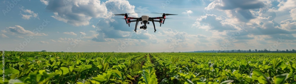 Drone Over Soybean Field Enhancing Farm Efficiency
A drone equipped with sensors flies over a vibrant soybean field under a clear sky, illustrating the role of technology in efficient crop management. Drone Over Soybean Field Enhancing Farm Efficiency
A drone equipped with sensors flies over a vibrant soybean field under a clear sky, illustrating the role of technology in efficient crop management.