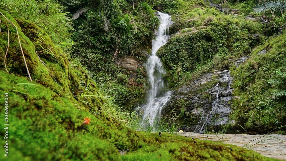 Fototapeta premium waterfall in the forest