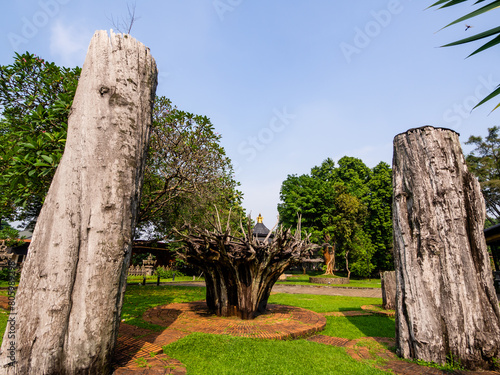 Jakarta, Indonesia (May 5, 2024): Several old logs stand in the Bali area of ​​Taman Mini Indonesia. photo