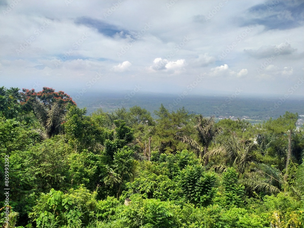 Obraz premium view from the top of the mountain