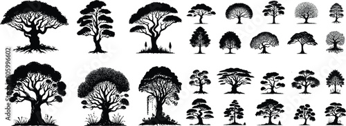 silhouette tree line drawing set  Side view  set of graphics trees elements outline symbol for architecture and landscape design drawing. Vector illustration in stroke fill in white. Tropical