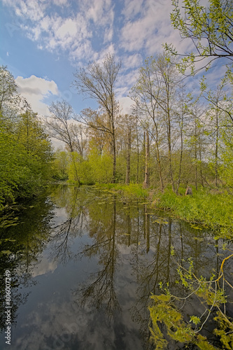 Fresh green spring trees reflecting in the water of a stream on a cloudy spring day in Bourgoyen nature reserve, Ghent, Flanders, Belgium  photo