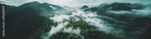 A misty forest with trees and mountains in the background