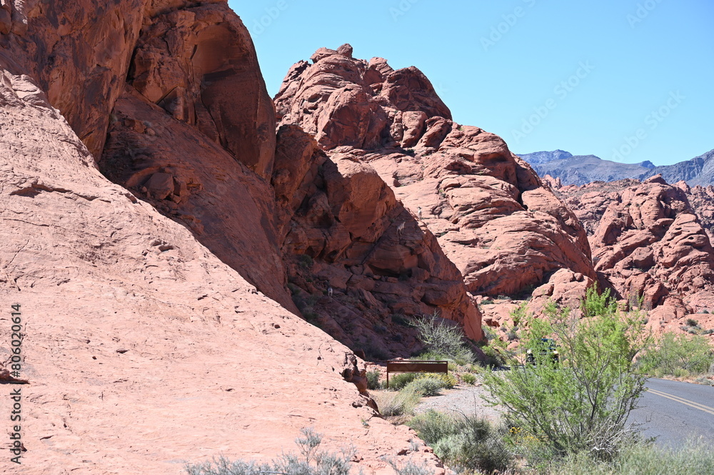 Mountain Goats climbing the rocky ledge at The Valley of Fire State Park in Nevada, USA on a red hot day.