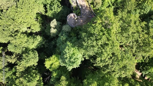 Flight with top down view of ruins of Leienfels Castle and tree panorama near Pottenstein (Franconian Switzerland), Germany photo