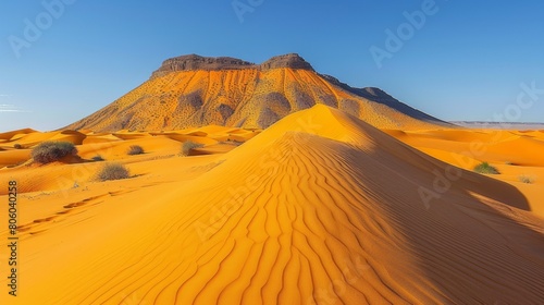 Desert  sand dunes in the Sahara. Picturesque landscape. Heat.