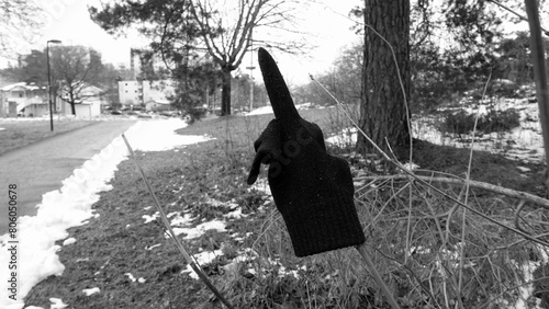 An abandoned black woolen glove, placed on a branch, showing the middle finger.