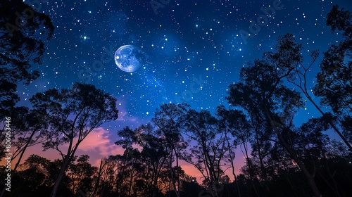 A night sky with a bright full moon and twinkling stars above silhouetted trees.