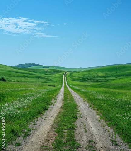 Country road through a lush green field