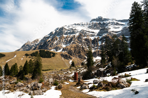 Schneebedeckter Berg Säntis in der Schweiz mit Wiesen Alm Bäumen im Vordergrund photo
