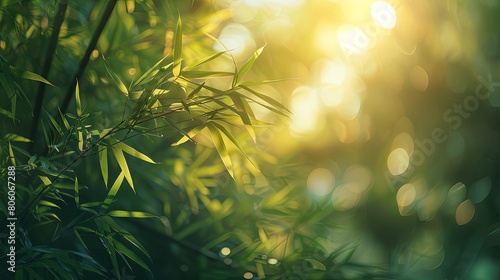 Sunrise ambiance with sunlight shining through green bamboo leaves.