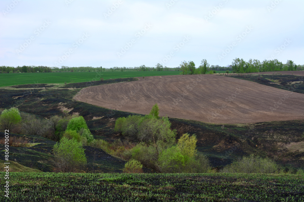 a plowed field on the hill with burnt grass and green bushes around   