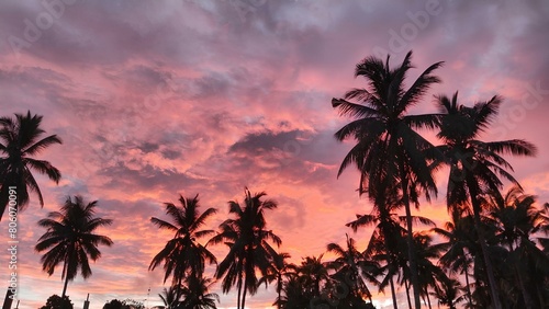 sunset in the palm