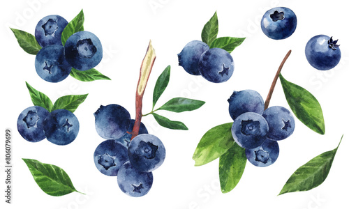 Set of blueberries on isolated white background, watercolor berries, botanical illustration photo