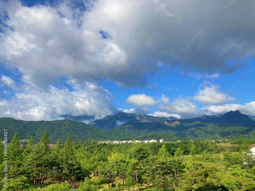 Obraz premium landscape in the summer